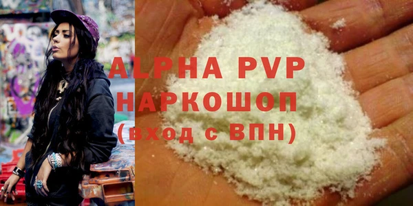 ECSTASY Бородино