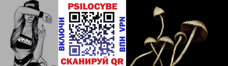 купить наркотики сайты  Исилькуль  Псилоцибиновые грибы Psilocybine cubensis 